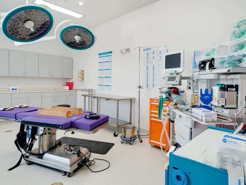 hospitals-and-healthcare