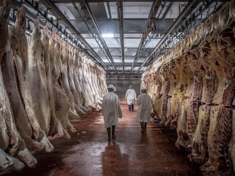 poultry-and-meat-facilities